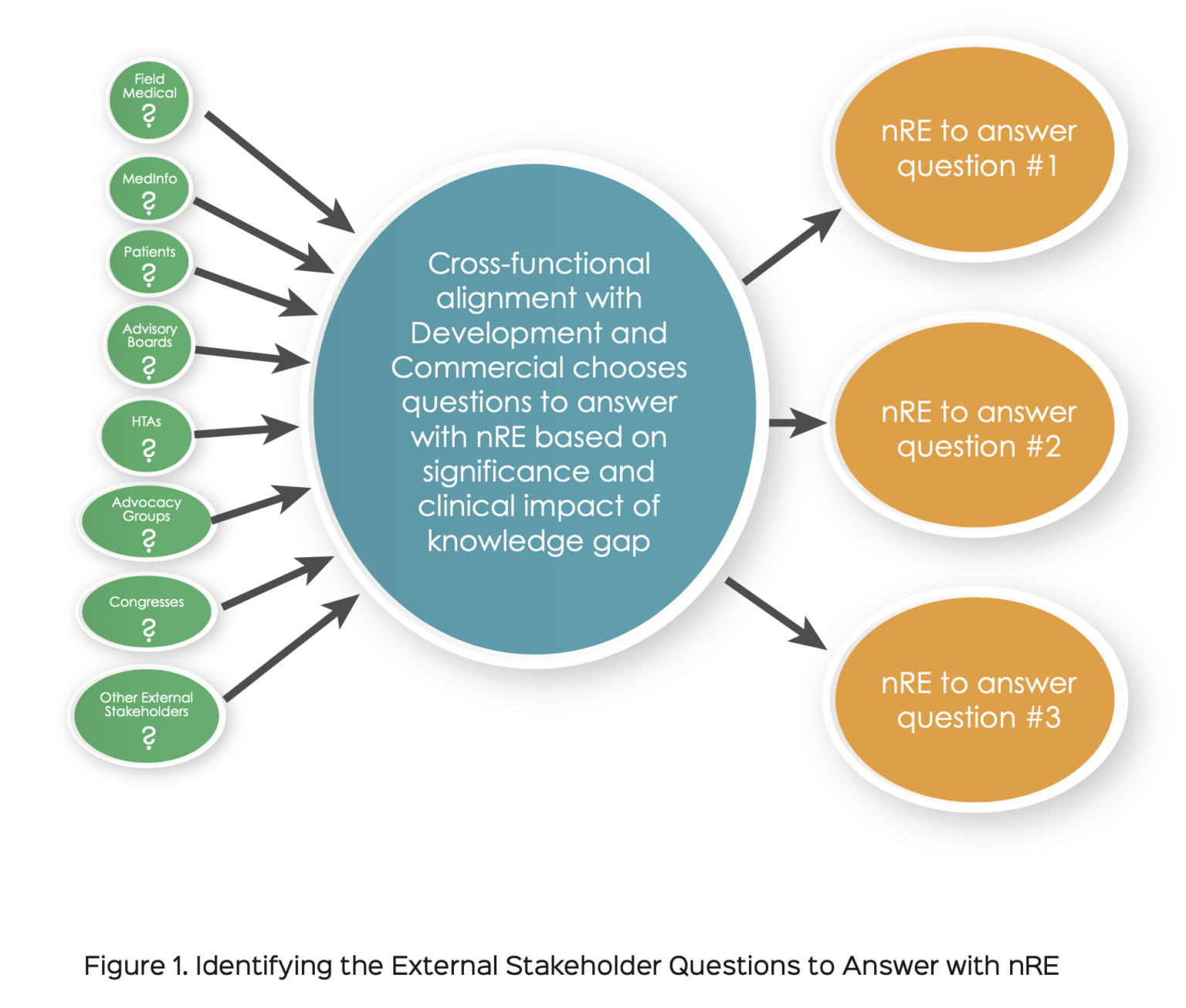 How the Use of non-Registrational Evidence by Medical Affairs Improves ...