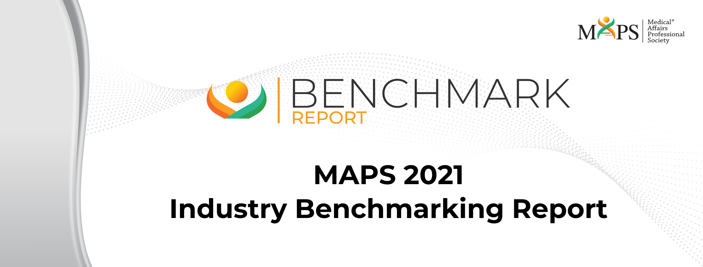 MAPS 2021 INDUSTRY BENCHMARKING REPORT