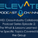 COVID: Cross-Industry Collaboration Podcast Series (Evelyn DeSantis) Episode 2: The What & Lessons Learned – The Specific Topics Covered by the Group